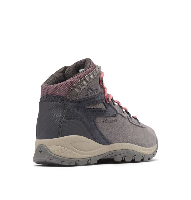 Columbia Newton Ridge™ Plus Waterproof Amped Ženske Obuća za Planinarenje Roze | ANR153QW